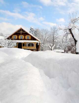 Фото Гостевой дом Salamandra Village г. Kozevo